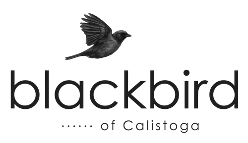 Blackbird of Calistoga